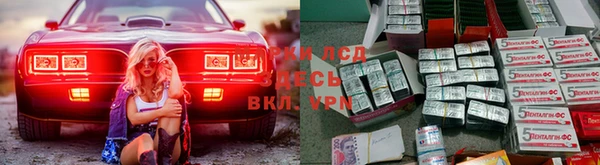 прущие грибы Алексин