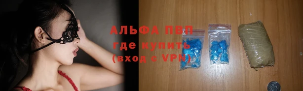 тгк Алзамай