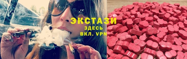 тгк Алзамай