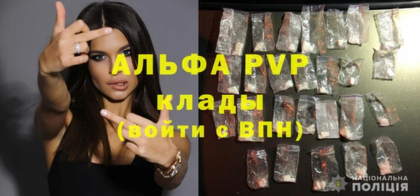 прущие грибы Алексин