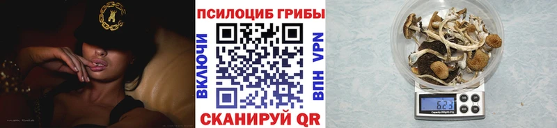 наркота  Чусовой  мега tor  Галлюциногенные грибы ЛСД 